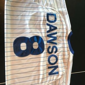 Cubs Jersey